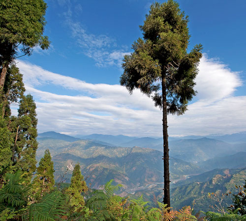 6 Days, 5 Nights of Tranquil Retreat